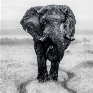 Meet your Posher, Jéssica